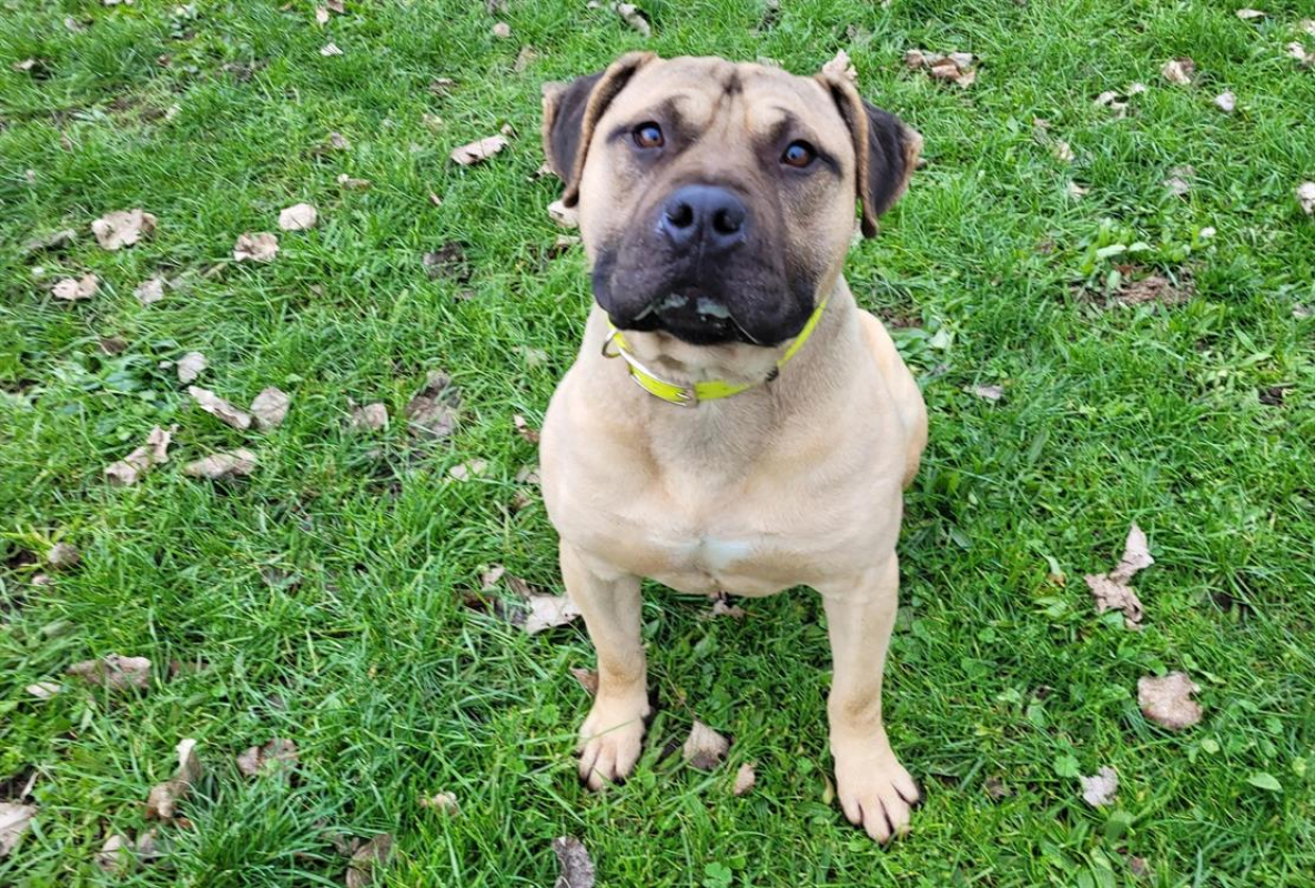 Photo #2 de Spartiat