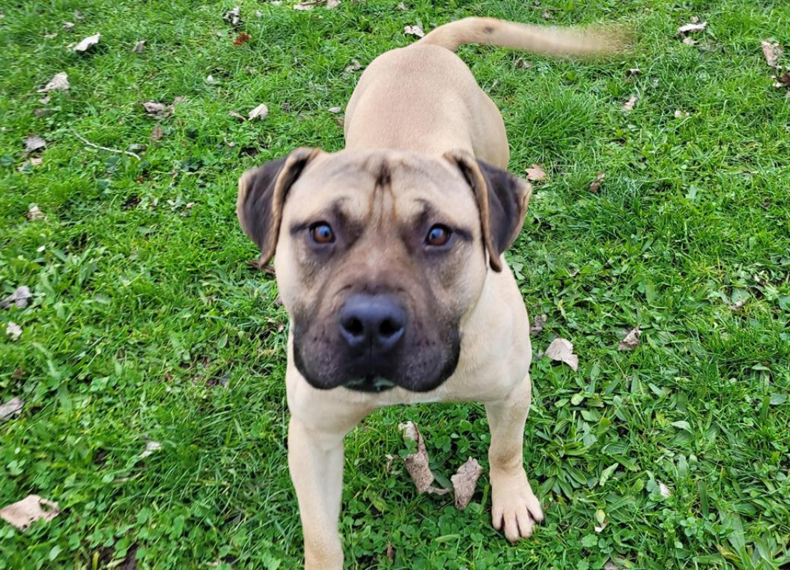 Photo #3 de Spartiat