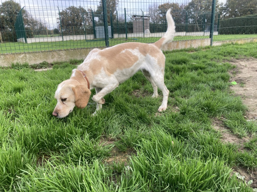 Photo #7 de Lucette promise