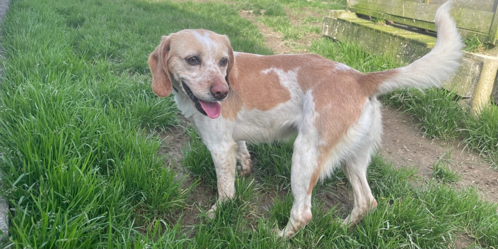 Photo #8 de Lucette promise