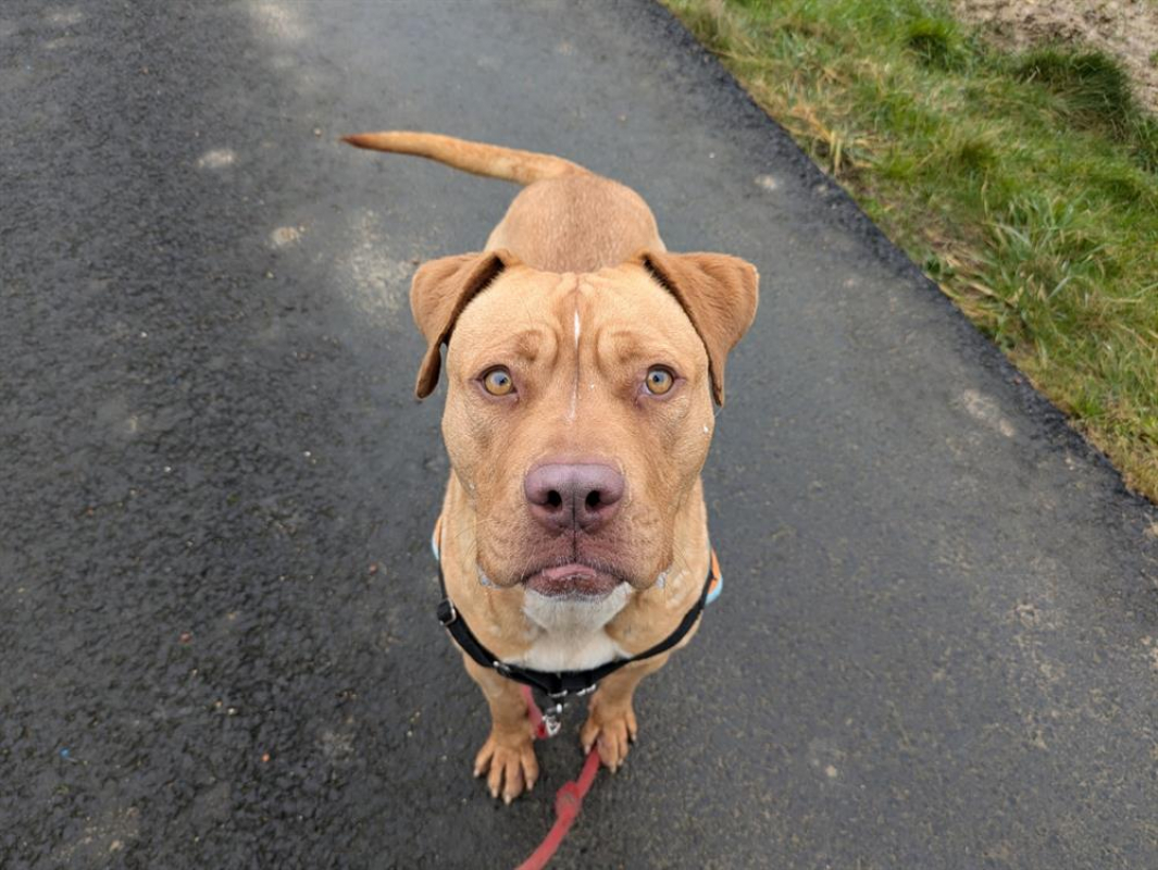 Photo #1 de Victoire