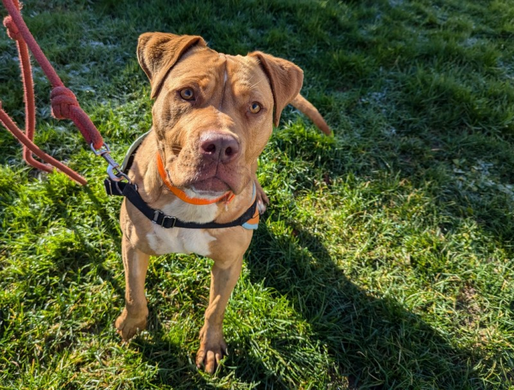 Photo #5 de Victoire