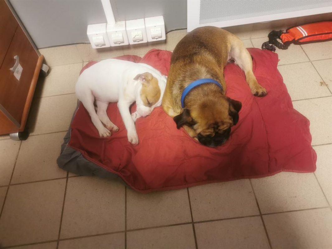 Photo #6 de Nocciolata