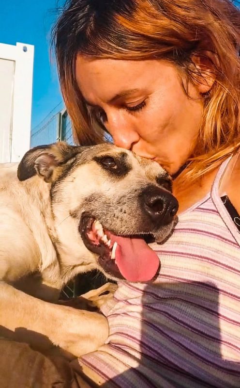 Hailey - Chien à adopter - photo 3