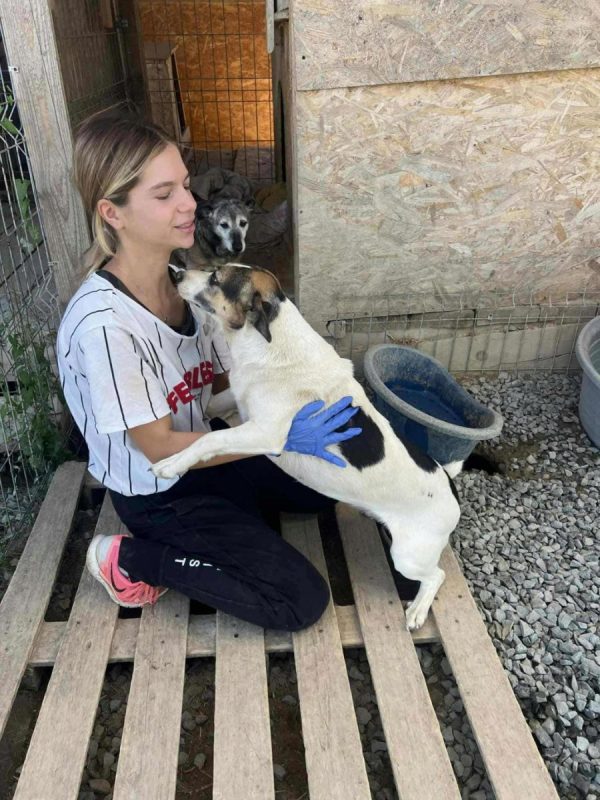 Mira - Chien à adopter - photo 5