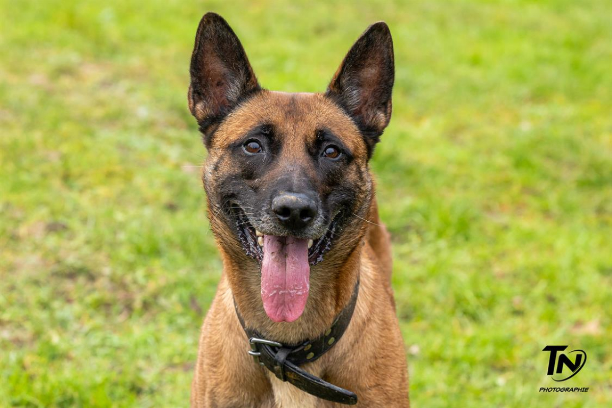 Photo #1 de P'tit coeur