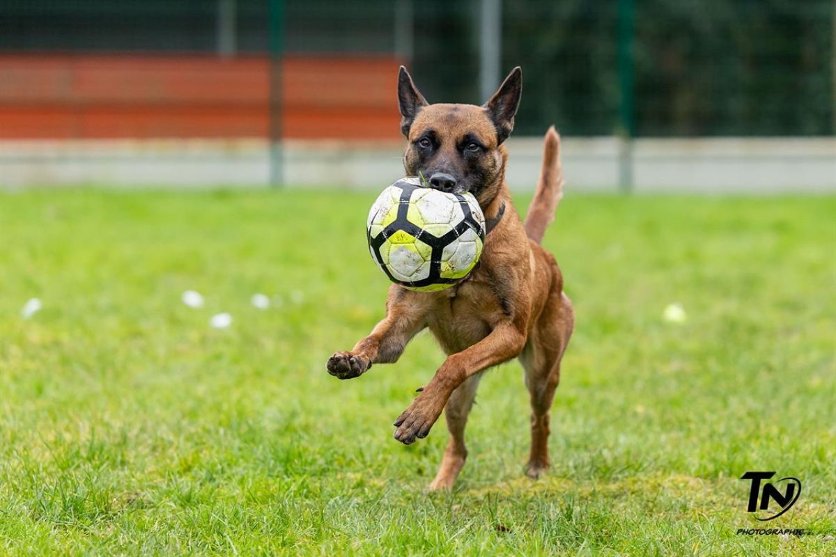 Photo #2 de P'tit coeur