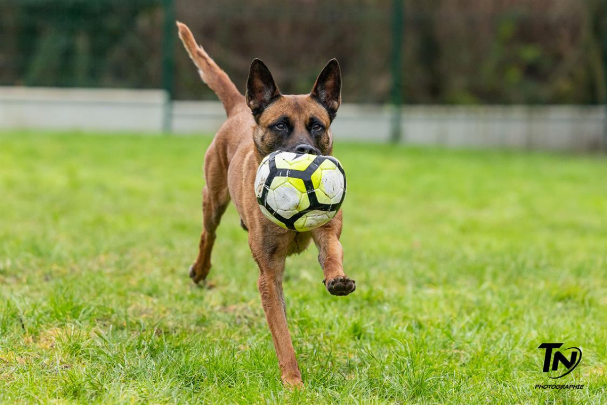 Photo #3 de P'tit coeur