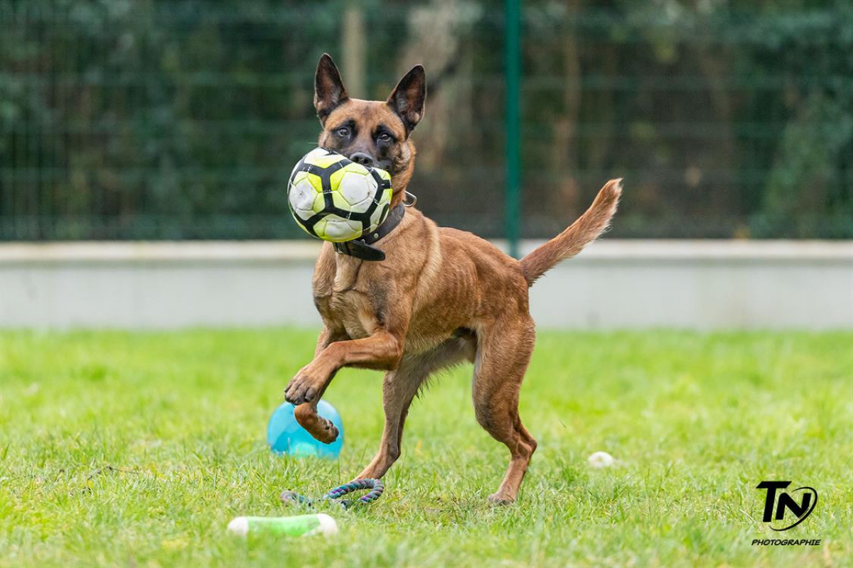 Photo #4 de P'tit coeur