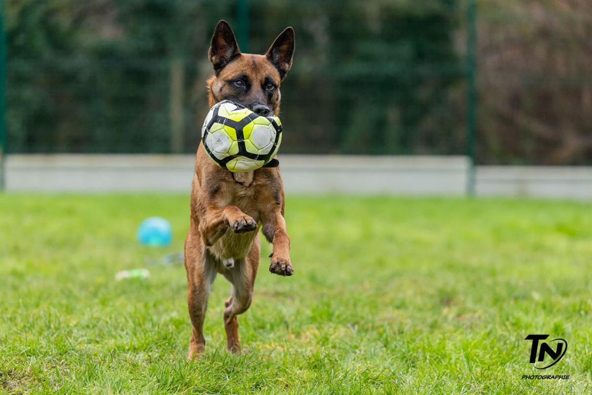 Photo #5 de P'tit coeur