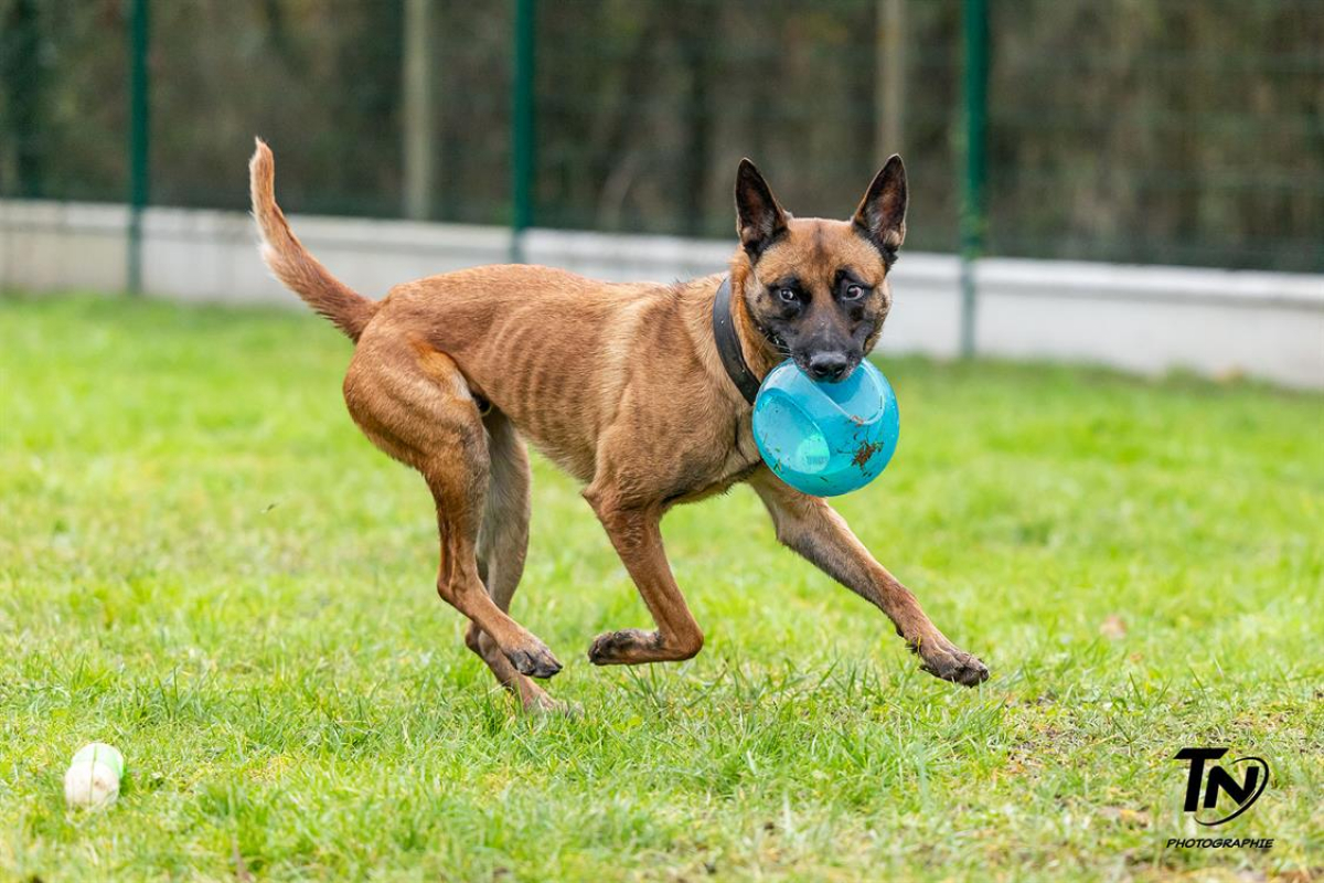 Photo #6 de P'tit coeur