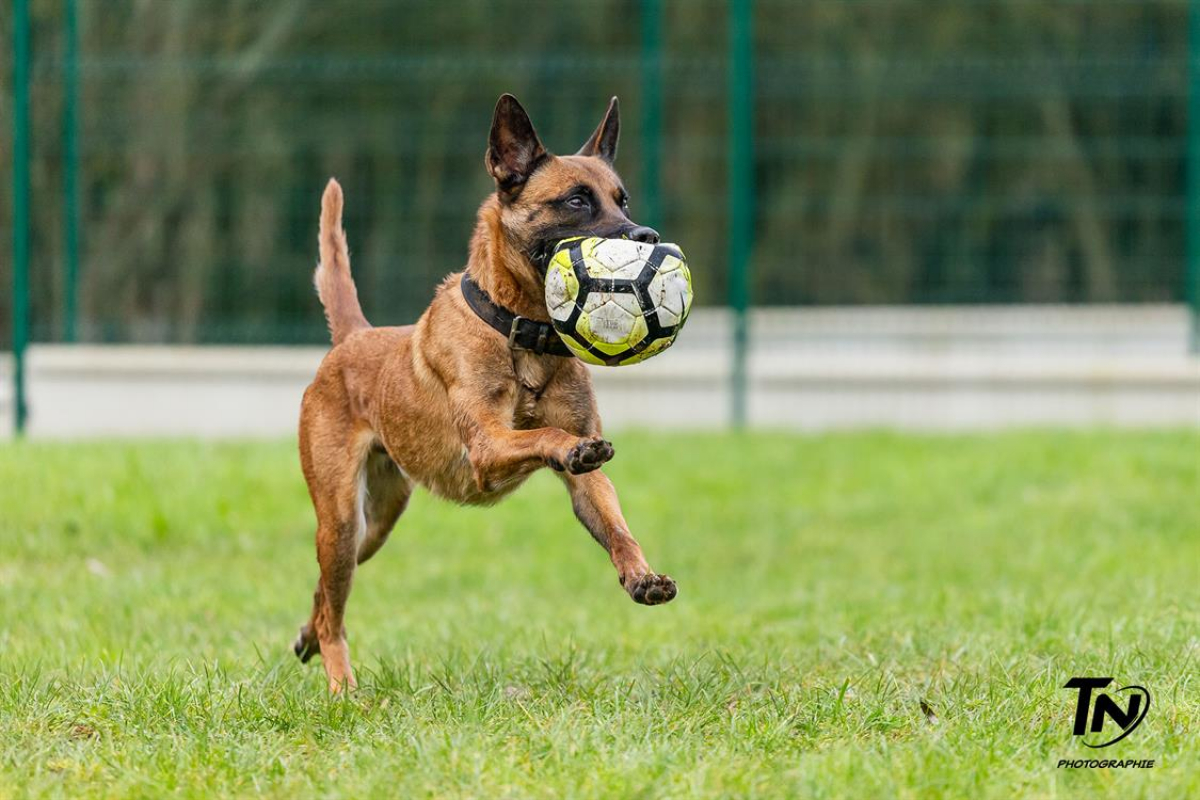 Photo #7 de P'tit coeur