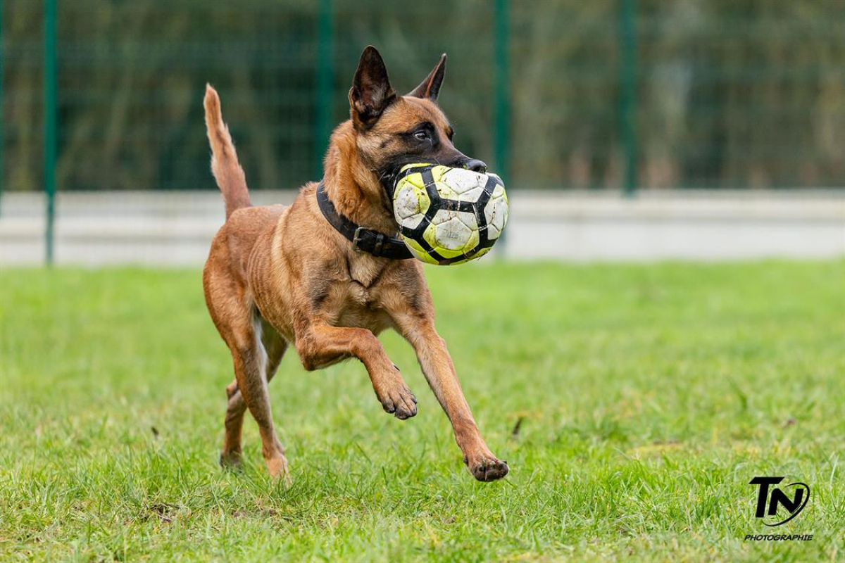 Photo #8 de P'tit coeur