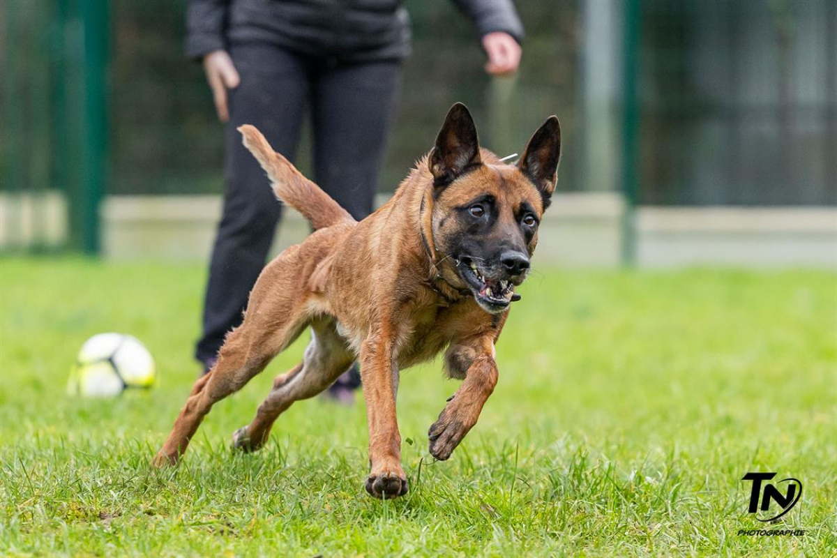 Photo #9 de P'tit coeur