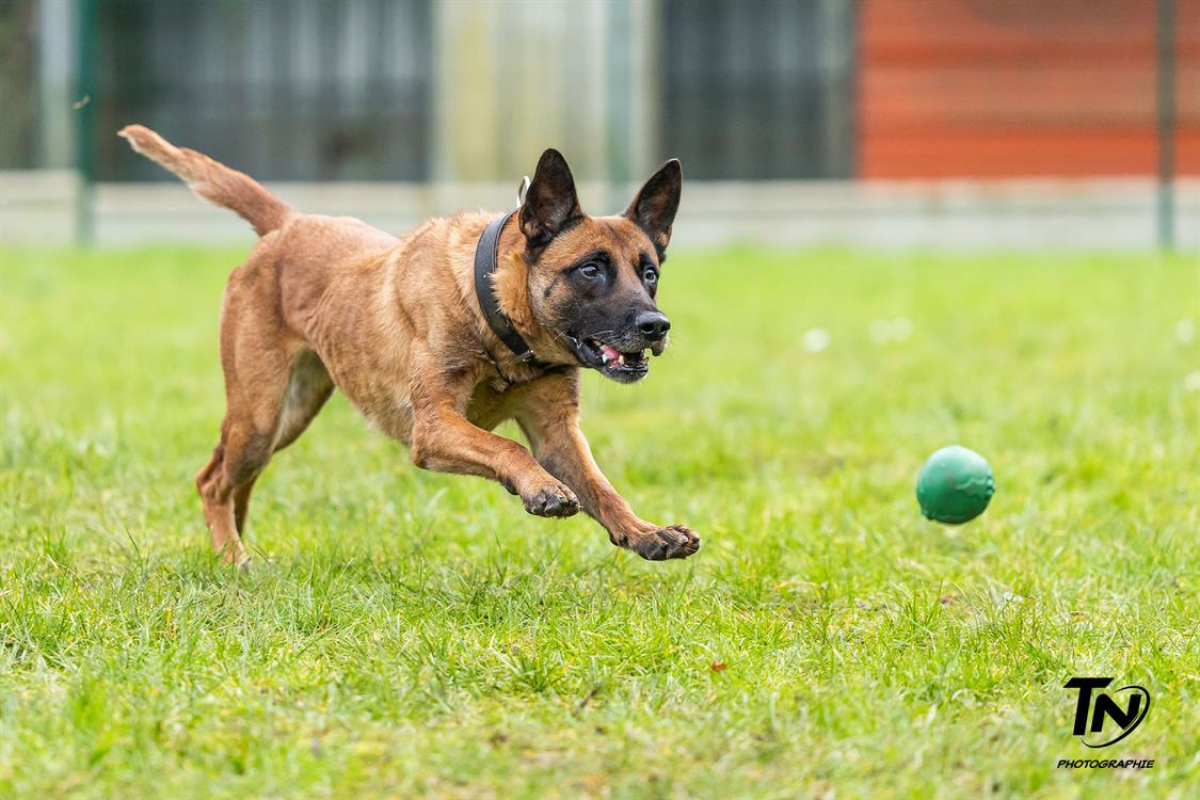 Photo #10 de P'tit coeur