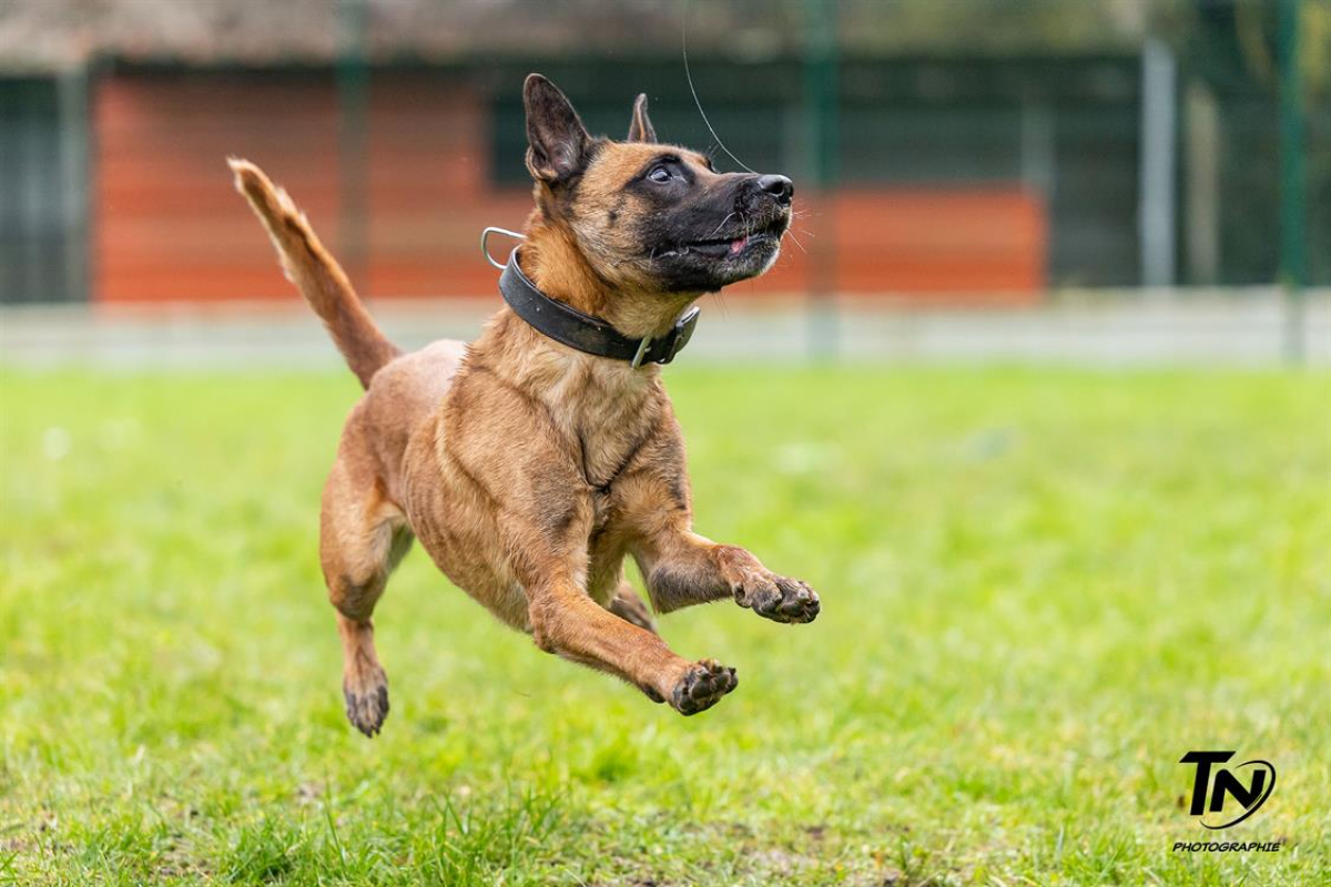 Photo #11 de P'tit coeur