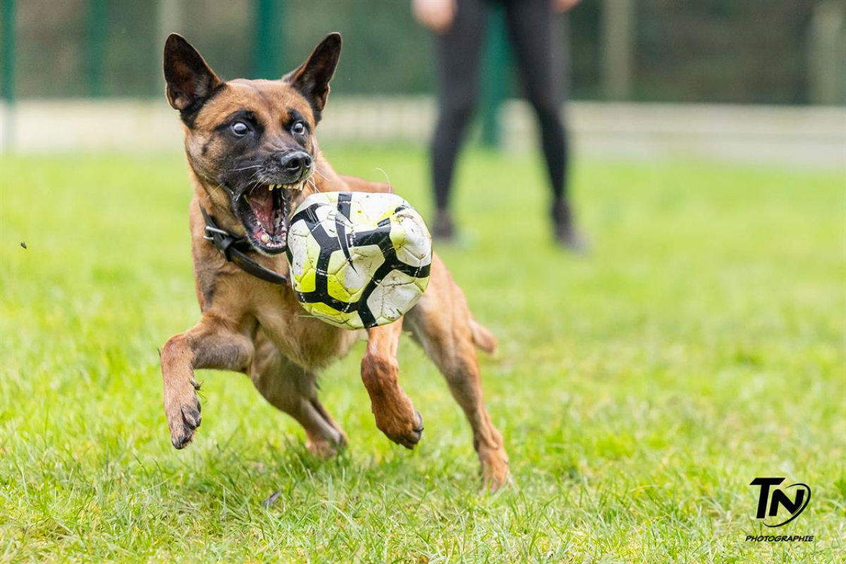 Photo #12 de P'tit coeur