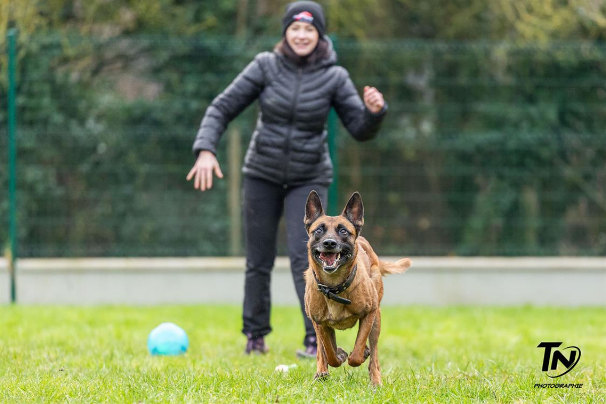 Photo #13 de P'tit coeur