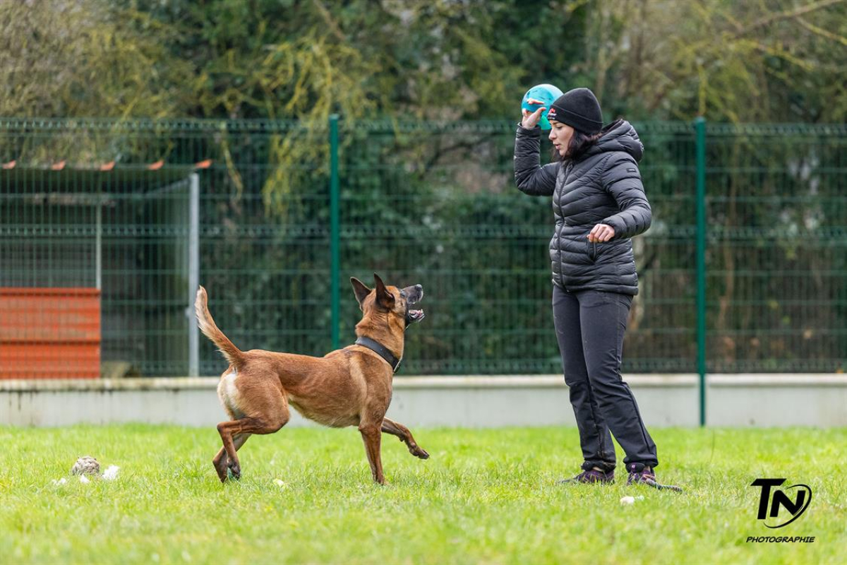 Photo #14 de P'tit coeur