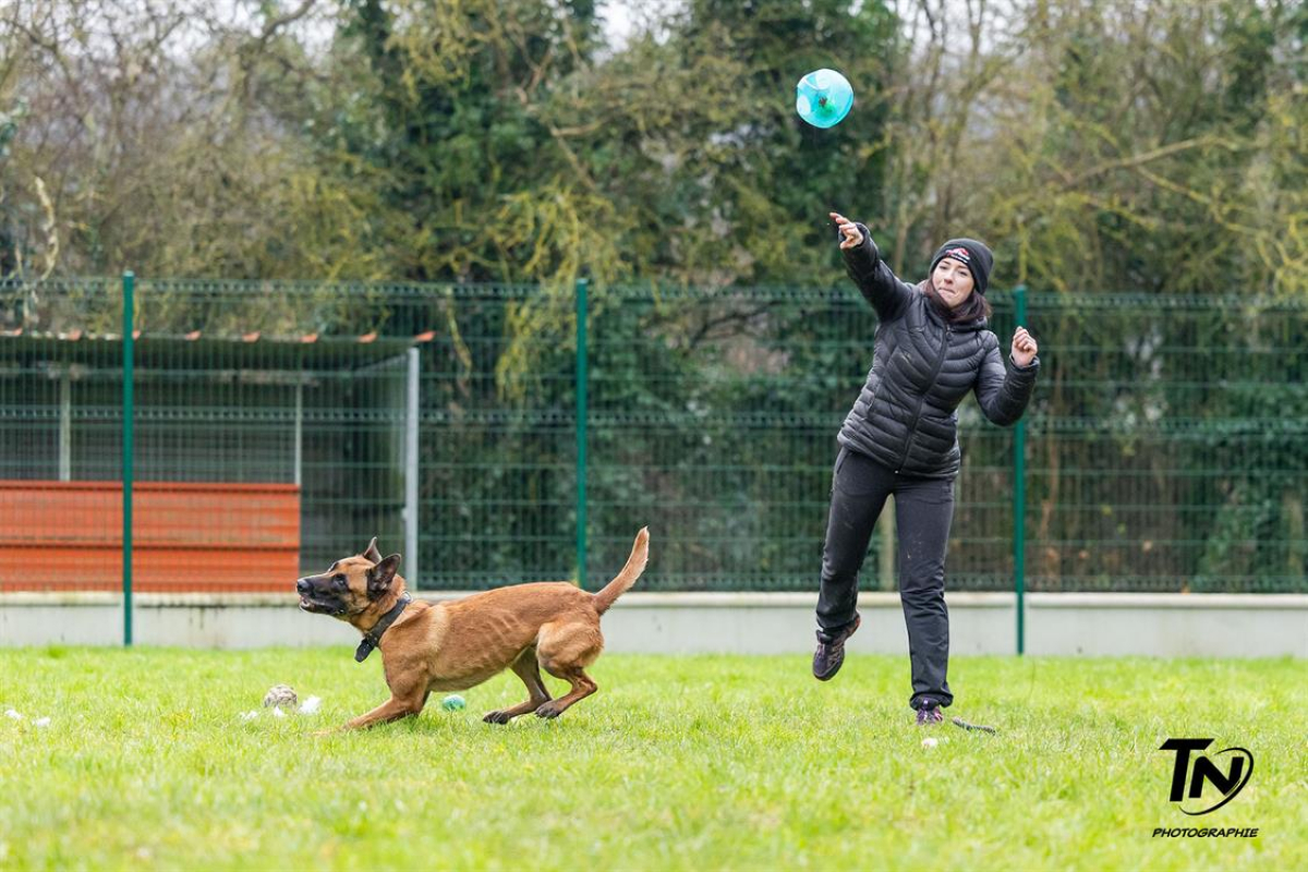 Photo #15 de P'tit coeur