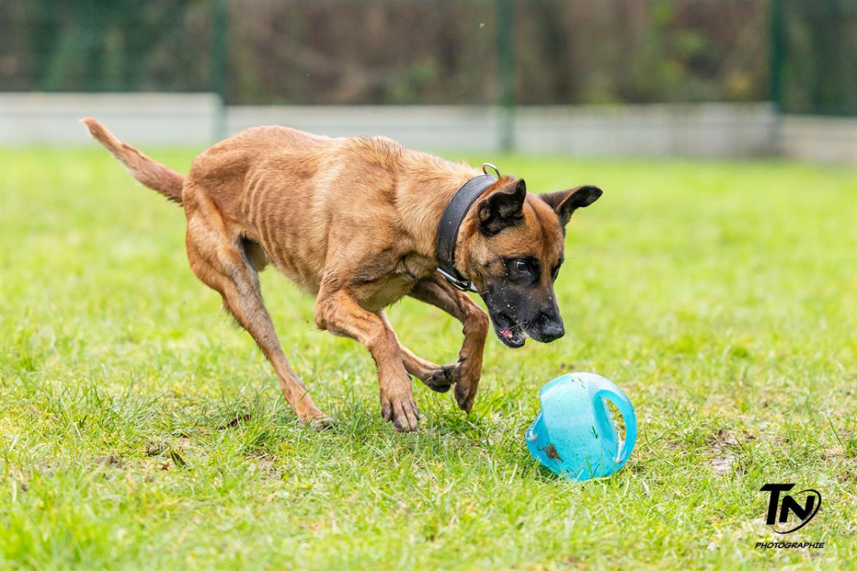 Photo #16 de P'tit coeur