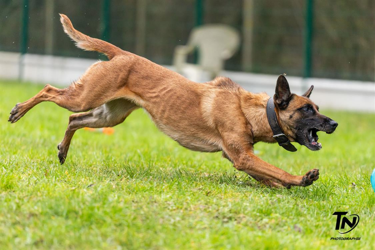 Photo #17 de P'tit coeur