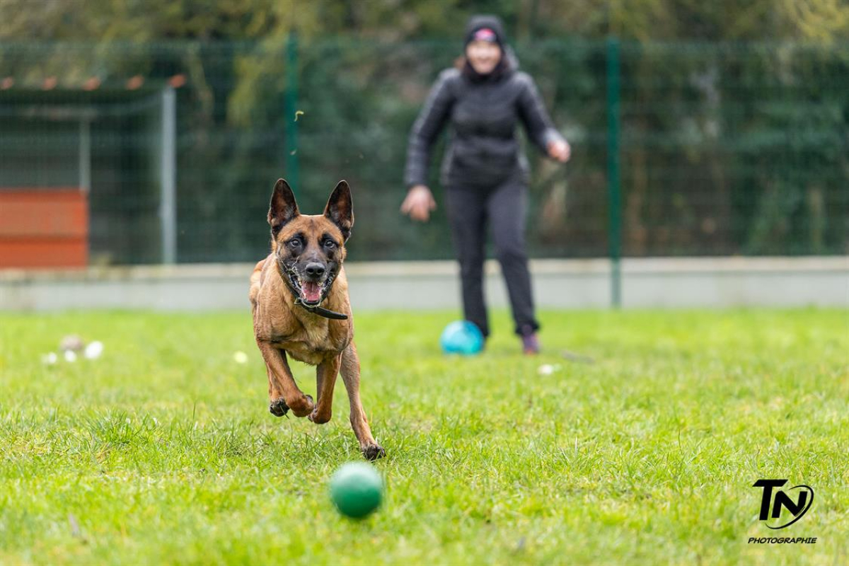 Photo #18 de P'tit coeur