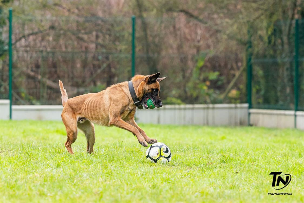 Photo #19 de P'tit coeur