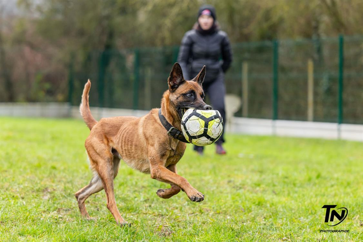 Photo #20 de P'tit coeur