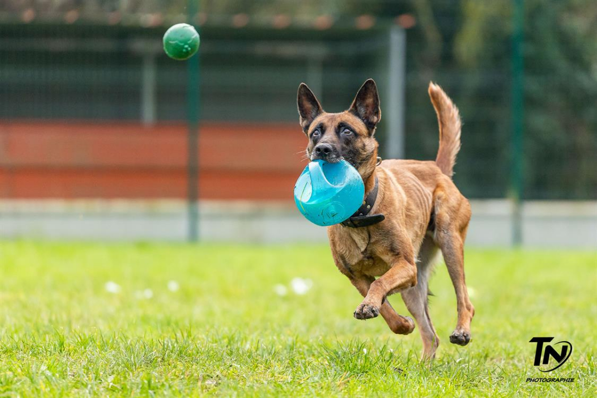 Photo #21 de P'tit coeur