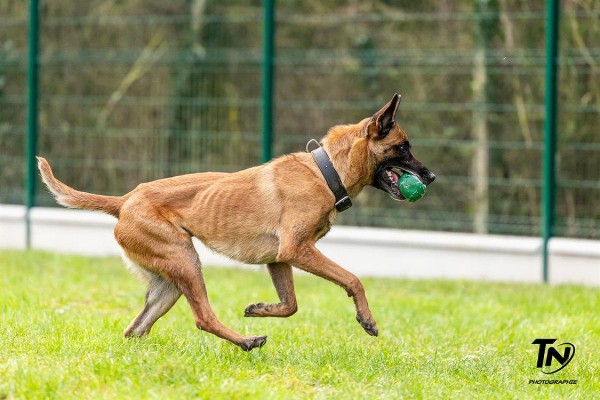 Photo #22 de P'tit coeur