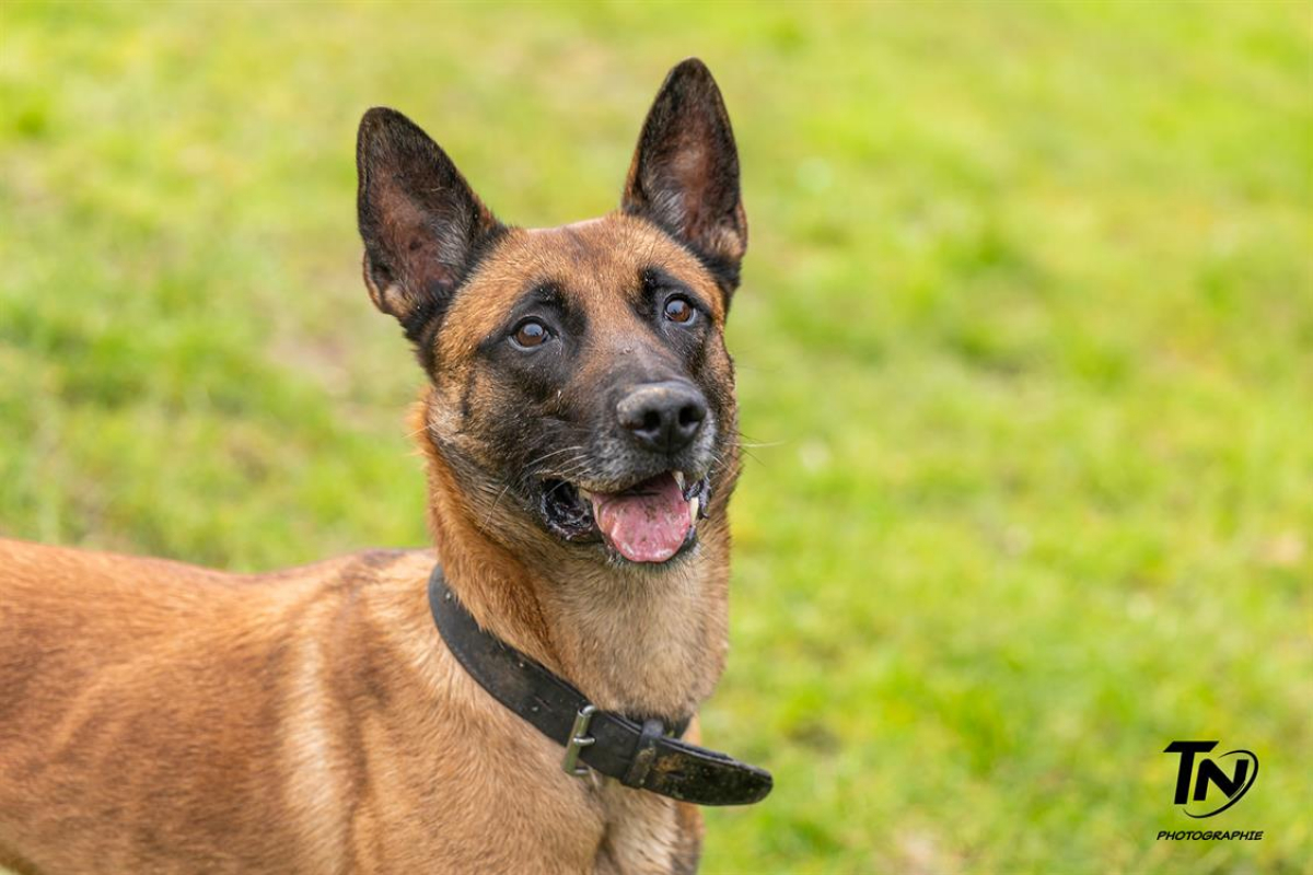 Photo #23 de P'tit coeur