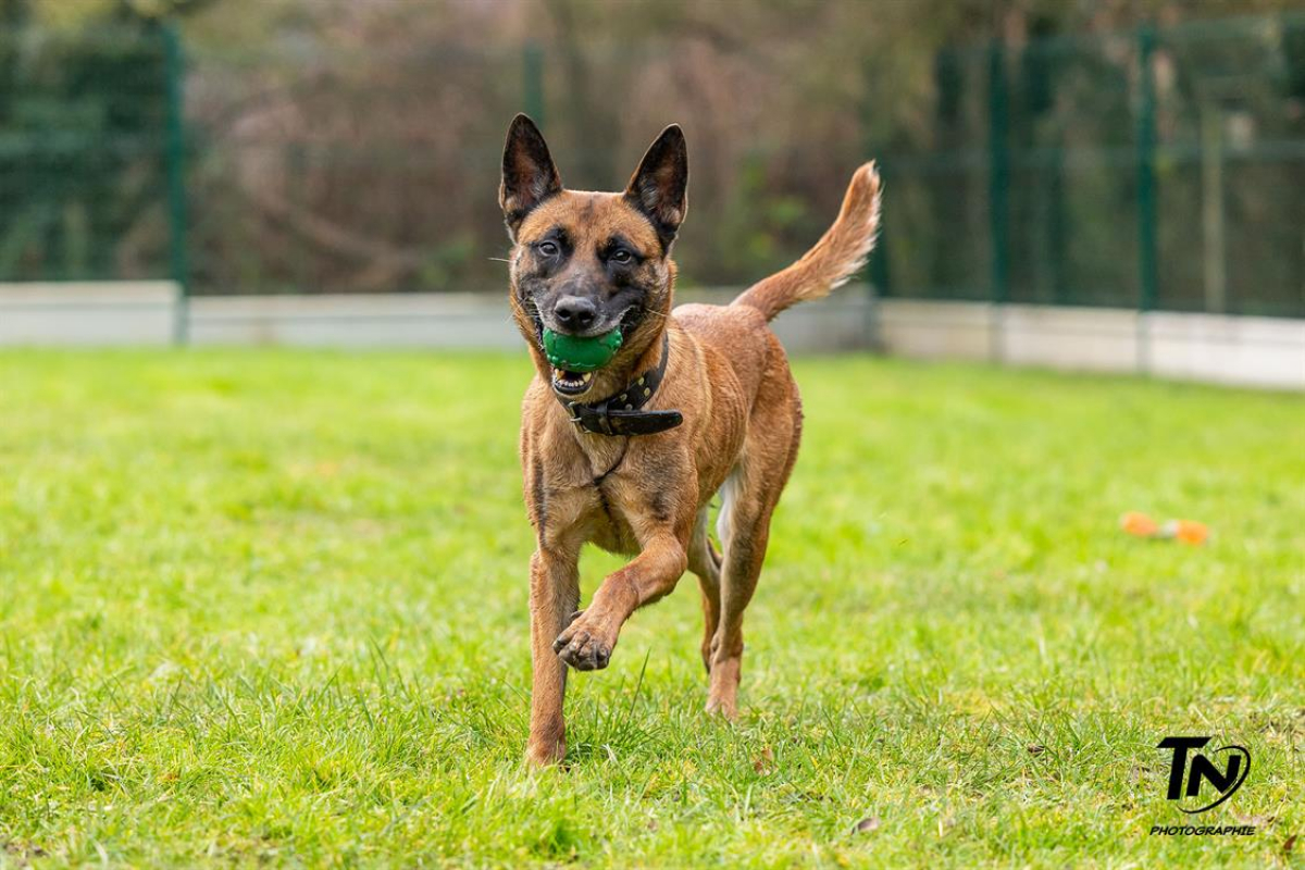 Photo #24 de P'tit coeur