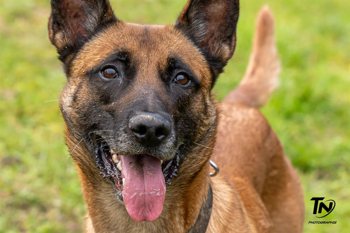 Photo #25 de P'tit coeur