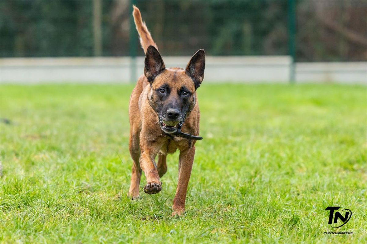 Photo #27 de P'tit coeur