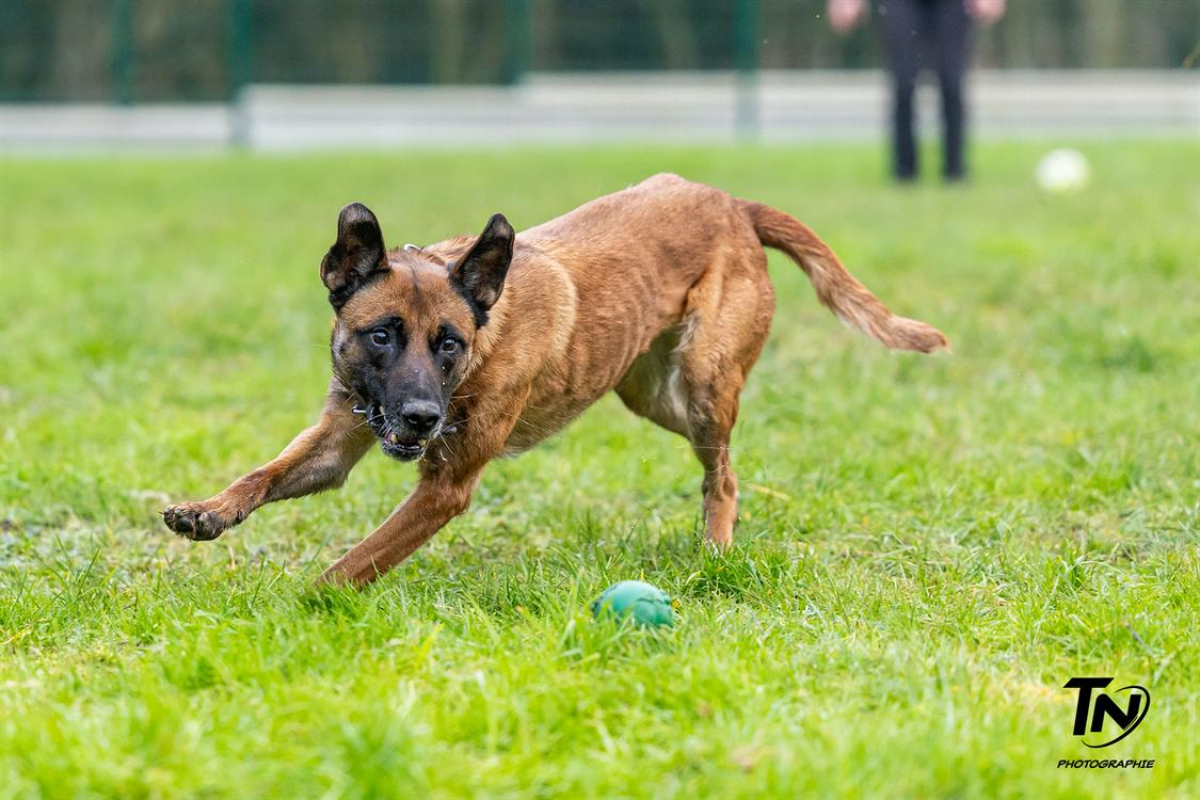 Photo #28 de P'tit coeur