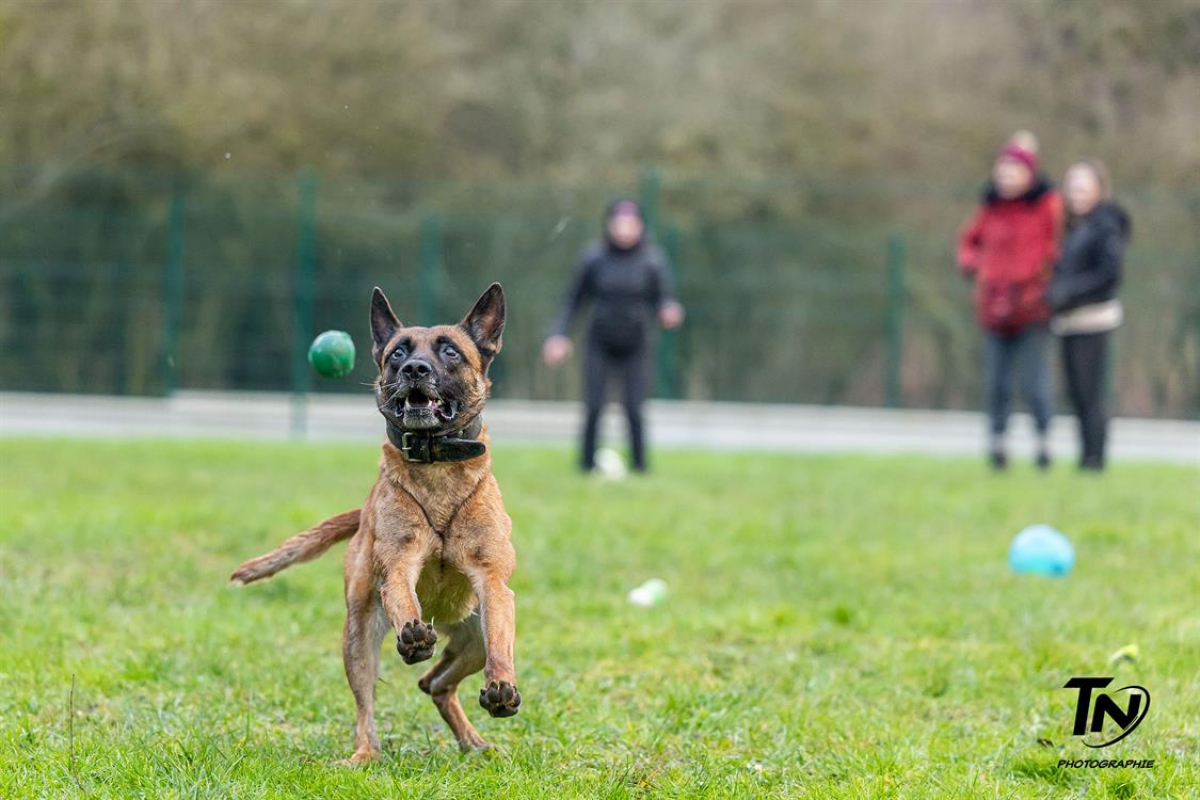 Photo #29 de P'tit coeur