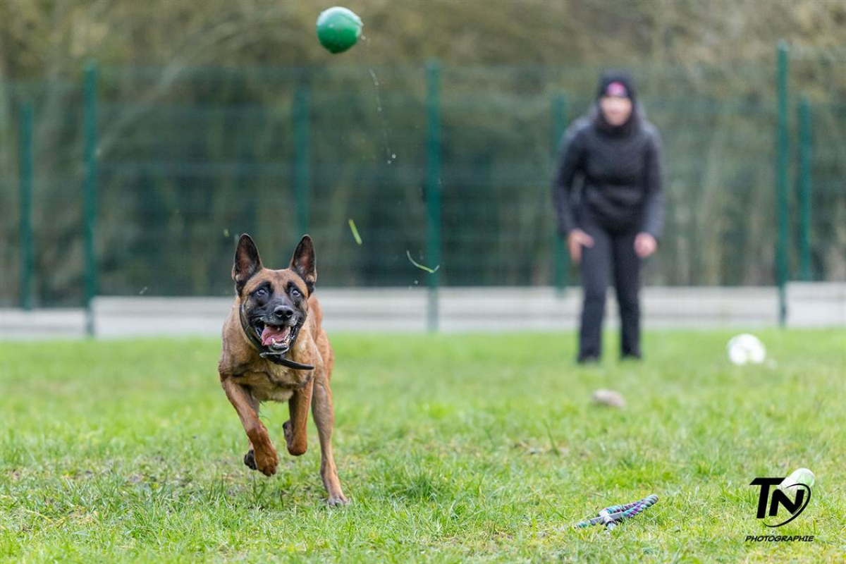 Photo #30 de P'tit coeur