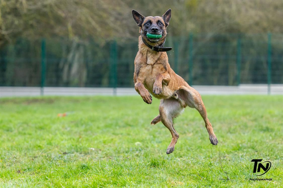 Photo #31 de P'tit coeur