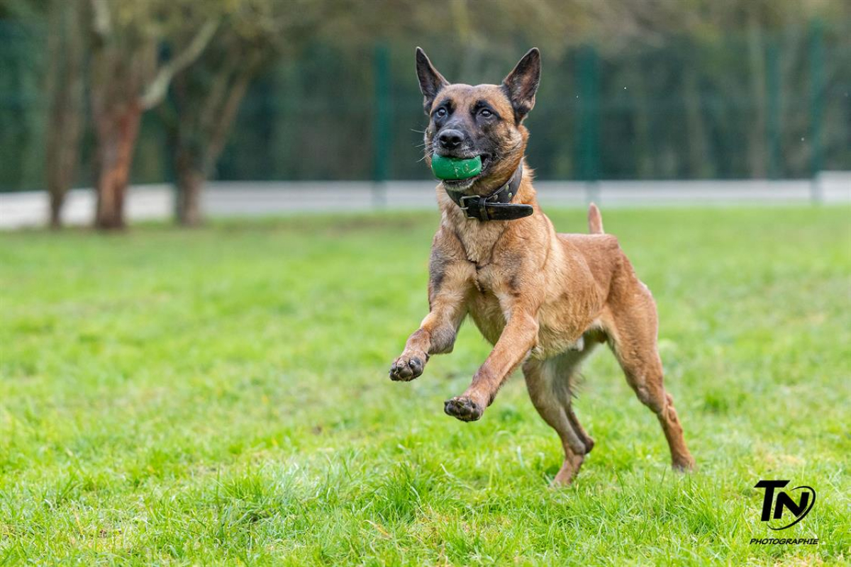 Photo #32 de P'tit coeur