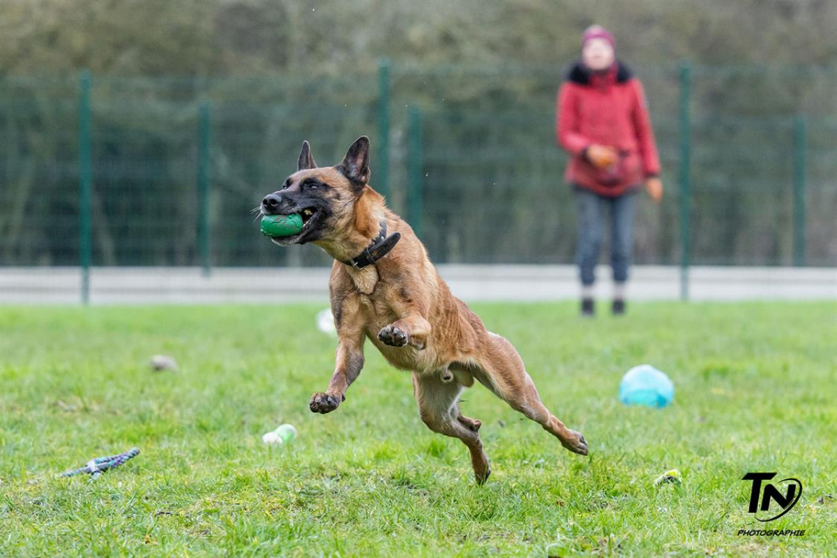 Photo #33 de P'tit coeur