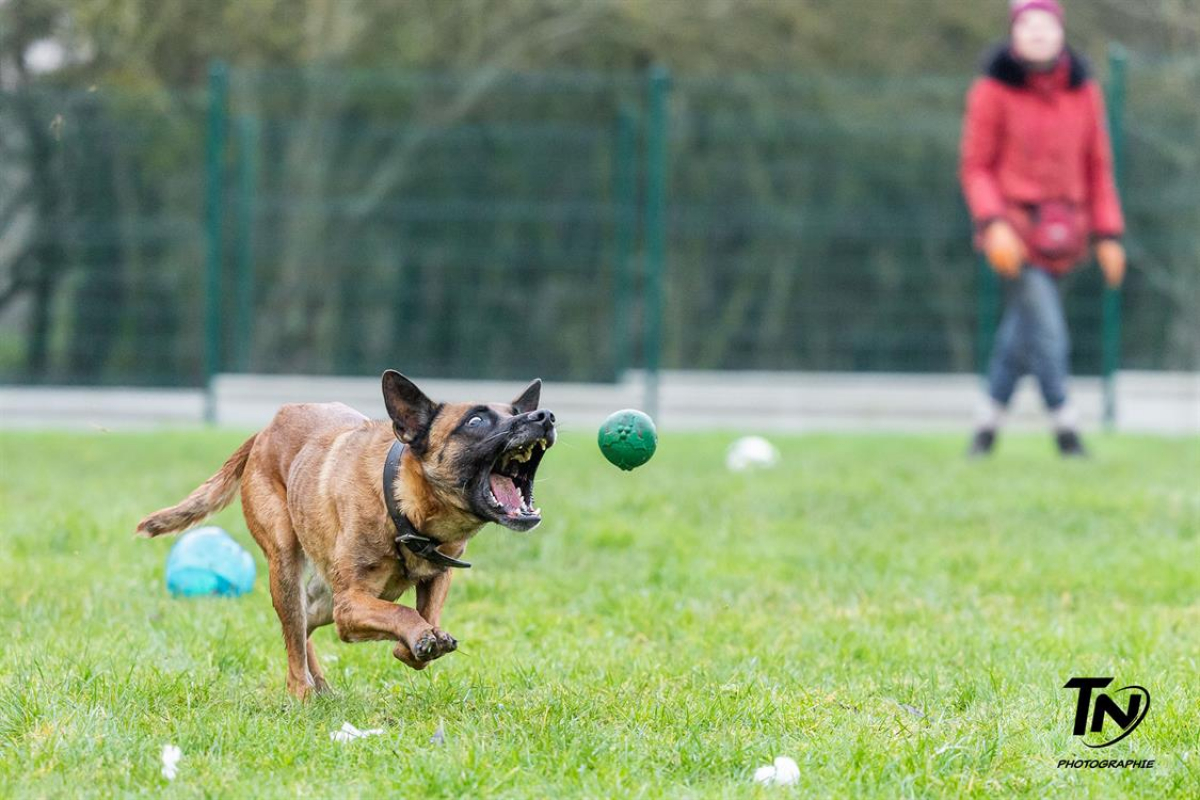 Photo #34 de P'tit coeur