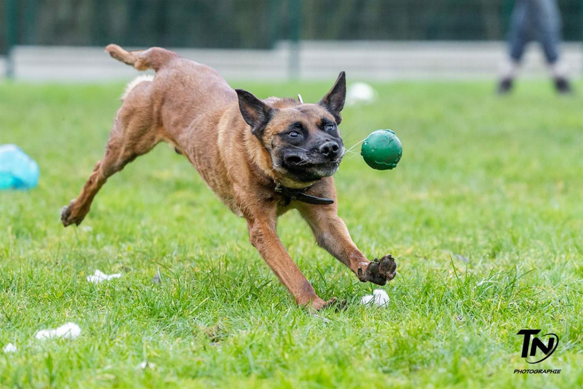 Photo #35 de P'tit coeur