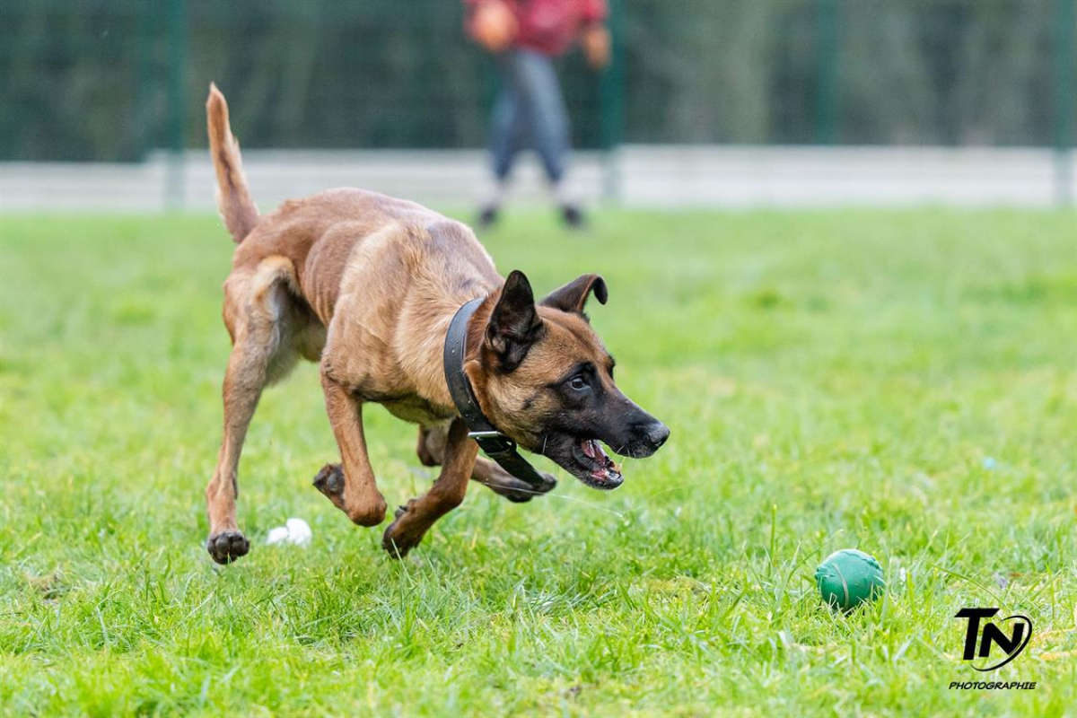 Photo #36 de P'tit coeur