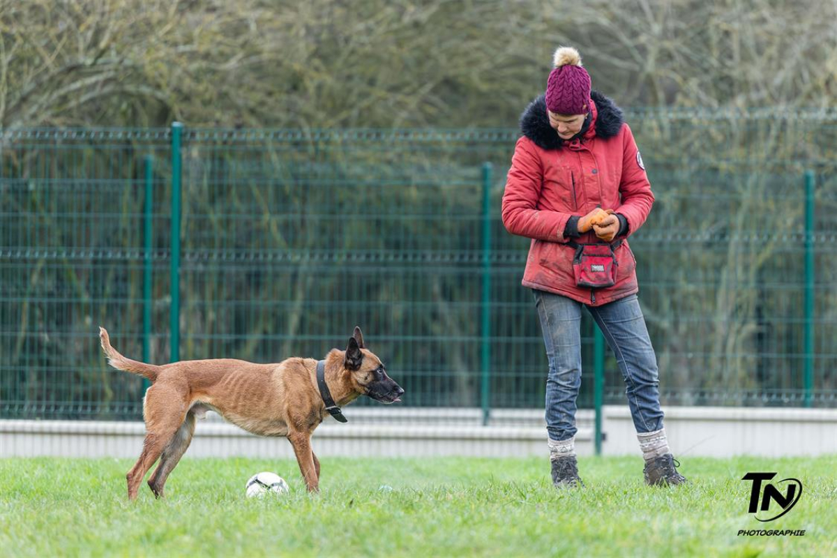 Photo #37 de P'tit coeur