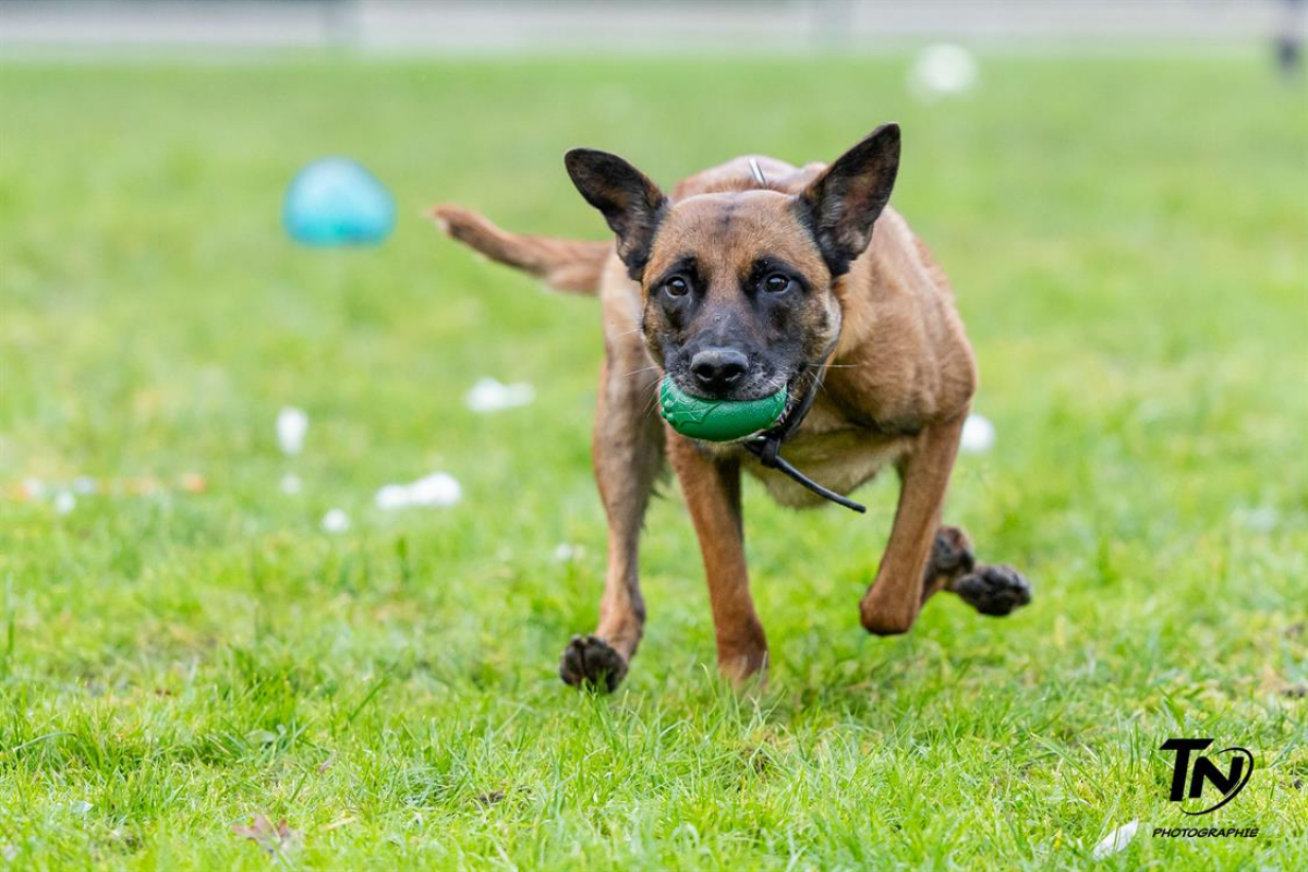 Photo #38 de P'tit coeur