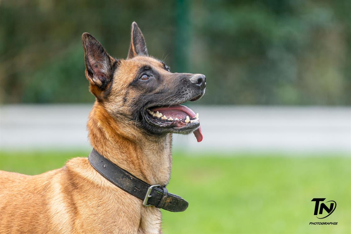 Photo #39 de P'tit coeur