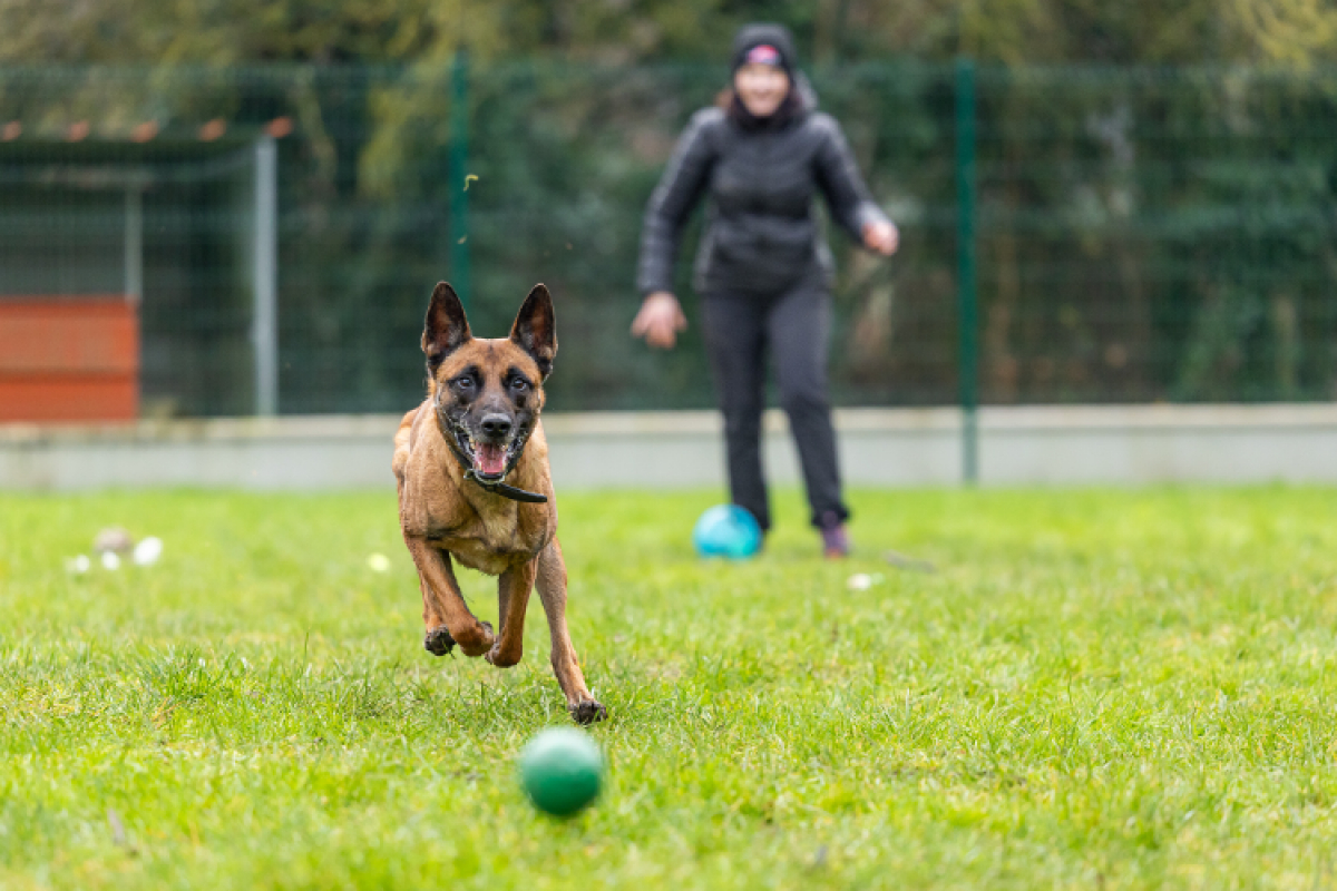 Photo #7 de P'tit coeur