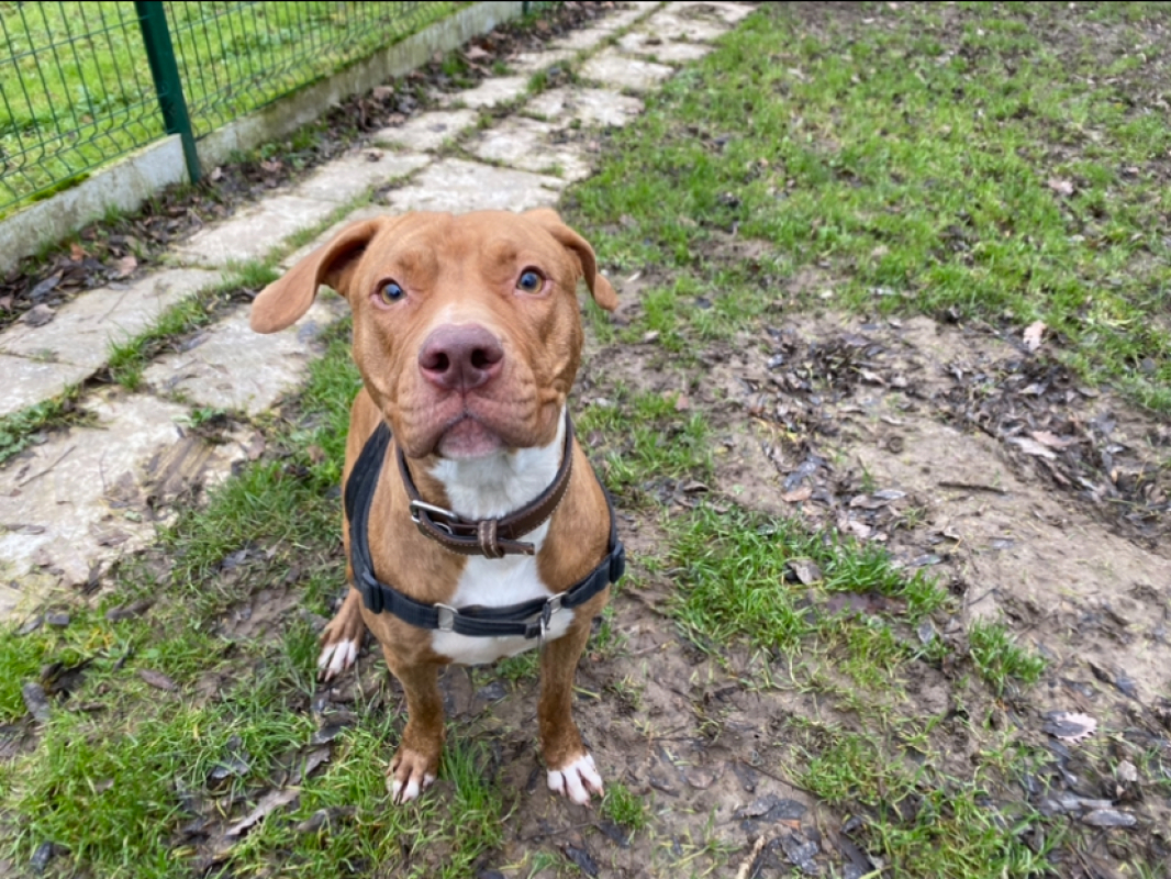 Photo #4 de Nala
