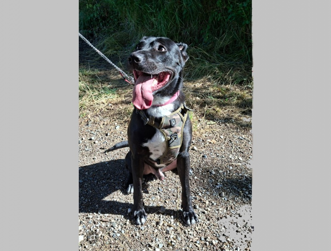 Photo #5 de Raiden dit rainbow